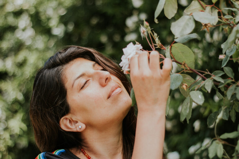 El Poder Sanador de las Plantas: Conectando con la Naturaleza para Elevar Nuestro Ánimo